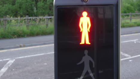 Pedestrian-Crossing-Sign-on-Red-Person-Lit-Up-with-Road-and-Trees-in-Background