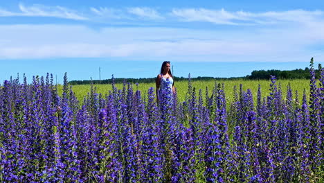 a woman walks through a purple flower field in limbazi, latvia on a sunny day