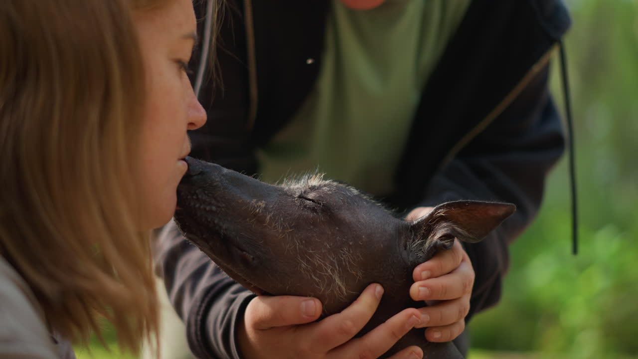 Youngster Shares Gentle Canine Bond, Child And Dog Enjoy Tender Moment Outdoors, Young Child Demonstrates Affectionate Connection With Dog During Outdoor Interaction Surrounded By Lush Greenery