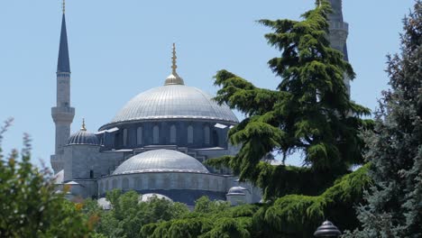 the blue mosque in istanbul, turkey