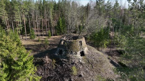 ruins of an old windmill with trees growing inside in samma village, estonia.
