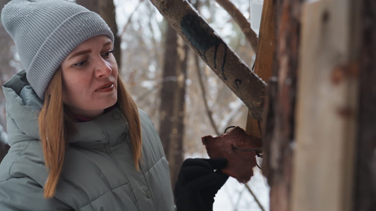 Woman in gray beanie and winter coat places piece of bread into wooden bird feeder mounted on snowy tree in forest, focused and caring expression on face, showing compassion and connection with nature