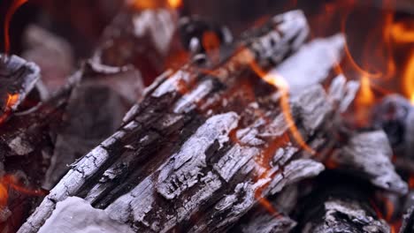 burning money in fire. money lies in flames and turns to ashes