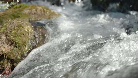 a beautiful small clear waterfall