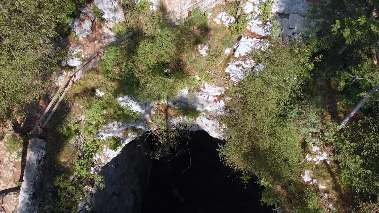 desierto desde arriba, acantilado cubierto de vegetación verde y árboles, vista aérea