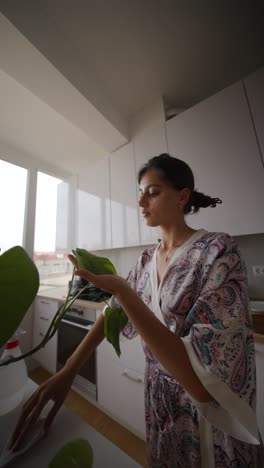 woman cleaning a houseplant in the kitchen