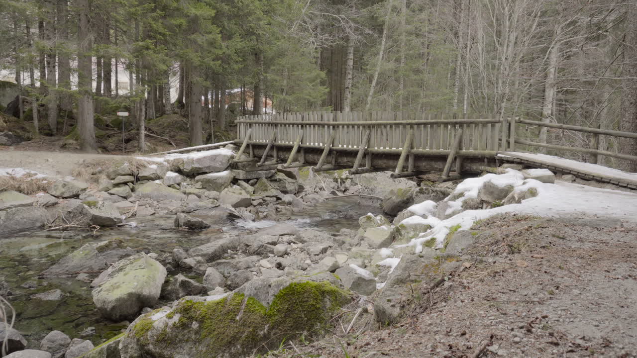 숲 속의 개울 위의 나무 다리 정적 클립 4k sony a6300 25p s-log2