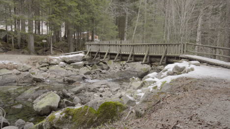 Holzbrücke-über-Einem-Bach-Im-Wald,-Statischer-Clip-4k,-Sony-A6300,-25p,-S-Log2