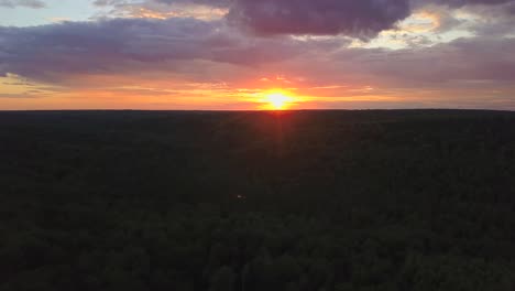 sunset over a forest