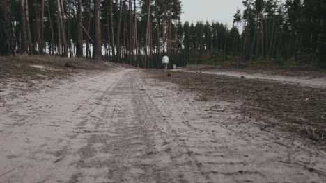 Woman-walking-a-way-with-her-dog-during-a-walk-in-the-middle-of-the-forest,-pet-and-master-fading-away