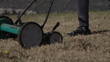 a person walking behind and pushing a manual mower across a lawn