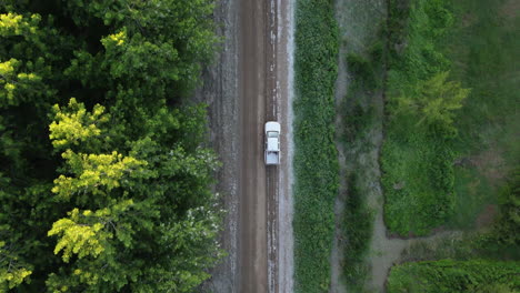 White car travels along forest-lined dirt road in daylight surrounded by dense green trees