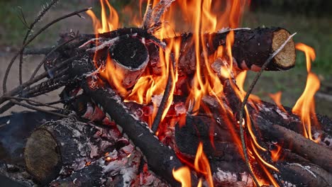 Burning-Flame-At-Fire-pit-on-wooden-logs