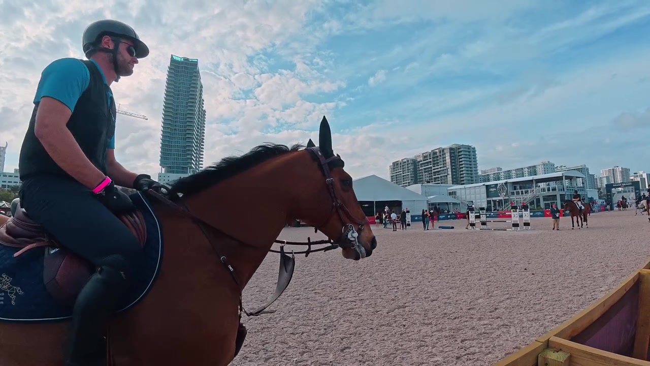 Miami, USA, 16 luglio 2026: Cavallo e cavaliere in un'arena di sabbia a Miami Beach. Cavallo marrone che si muove su terreno sabbioso con grattacieli e una gru sullo sfondo