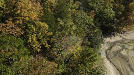 crisp foliage of a countryside oklahoma woodland during golden autumn