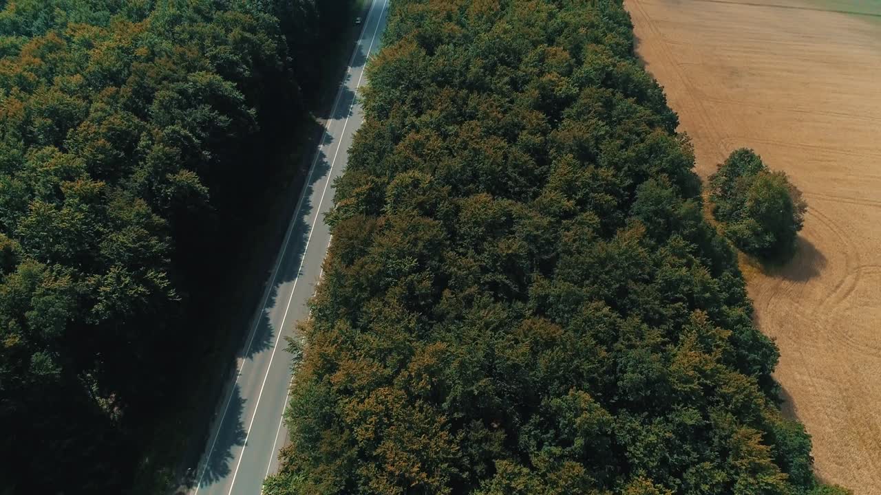 녹색 울불한 숲 속의 회색 도로를 따라 움직이는 차들.