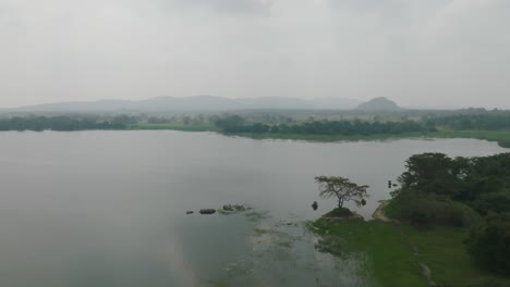 drone footage capturing the breathtaking beauty of a sri lankan lake surrounded by vibrant vegetation