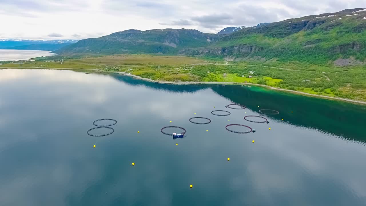 노르웨이에서 연어  ⁇ 시를 하는 공중 촬영