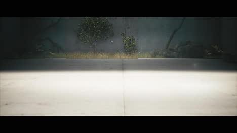 abstract interior scene with plants and shadows