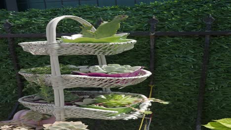 three tiered white basket with succulents and cactus