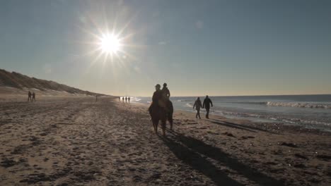 horse riders at beach on sunny day