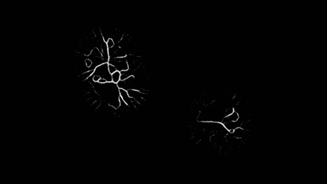 simulated organisms growing as two of them grow together and a third does not