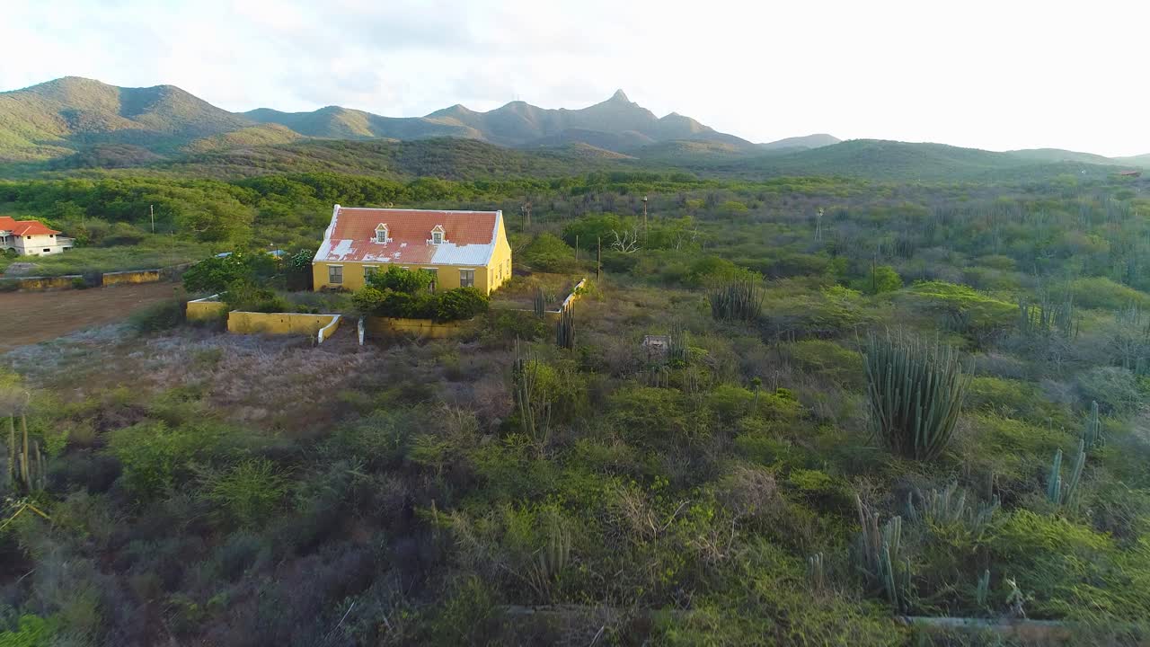 drone dolly por encima de los arbustos del desierto de curacao a los edificios rotos de landhuis y santa cruz manor