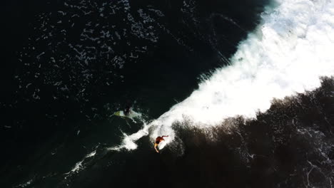 surfer riding a wave