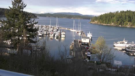 Friday-Harbor-Washington,-USA-Harbor-View