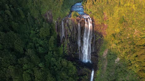 majestic waterfall in a dense forest - aerial view