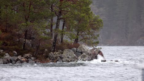 waves crash against cliffs with pine trees in 120fps slow motion