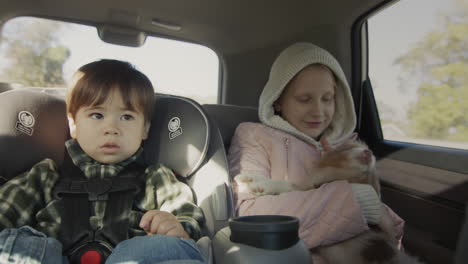 los niños conducen en el asiento trasero del coche. el niño viaja en un asiento de coche, al lado de una niña con un cachorro en sus manos