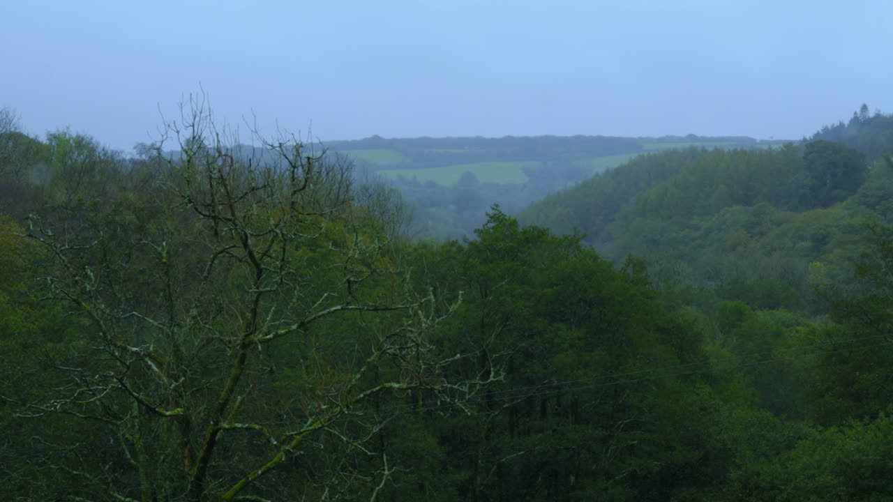 Timelapse of Windy Rain Over Forest Valley Landscape with Leaves Shaking with Fields and Hills in Background 4K