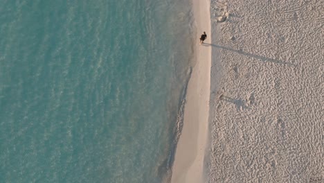 Draufsicht-Auf-Eine-Person,-Die-Am-Macarelleta-Strand-Mit-Blauem-Wasser-Entlang-Geht