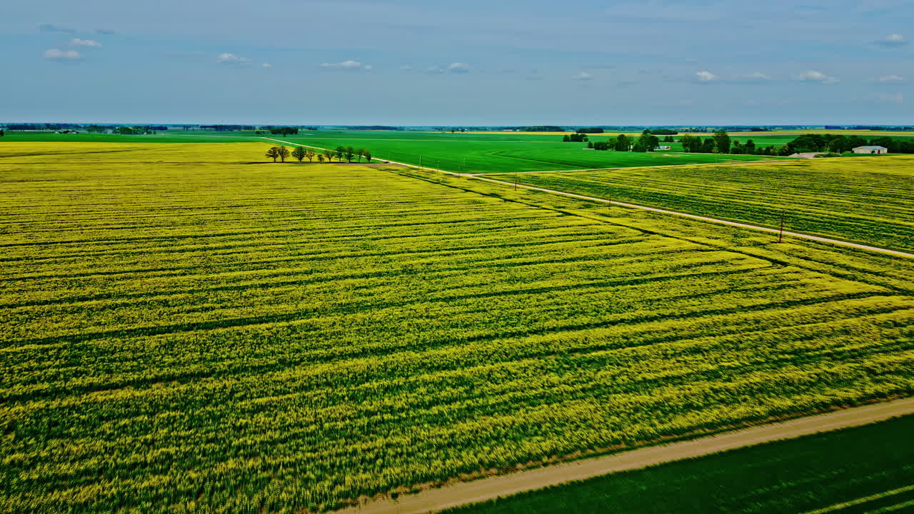 Low bird's eye view flying over vast meadows and fields