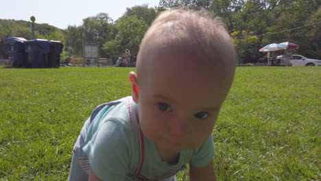 sweet baby boy crawling on the grass in a park on a sunny summer day