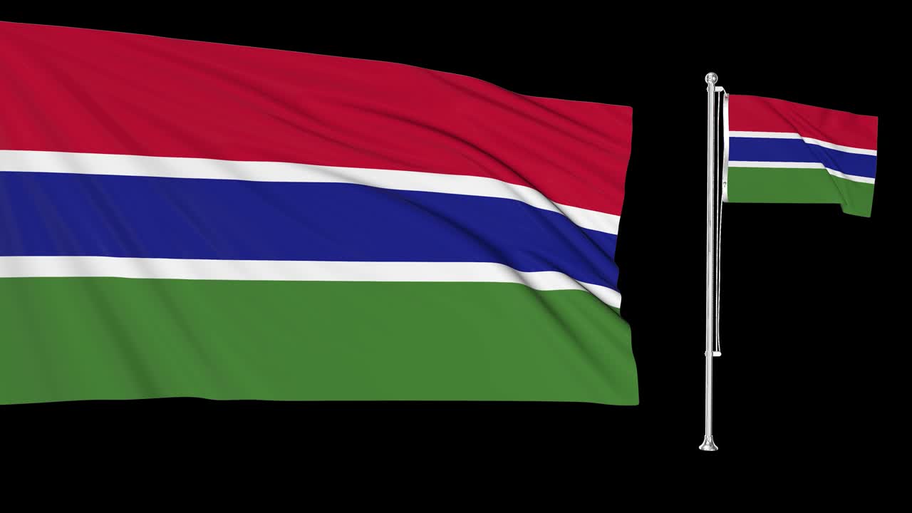 그린 스크린 감비아 2개의 발을 흔들고 있는 감비아 발 기둥 애니메이션 3d 크로마 키