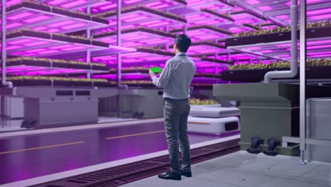 vertical farm worker monitoring plants