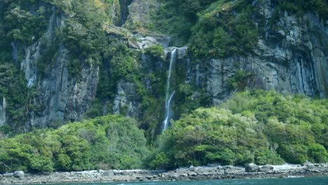 captador cascada escondida en medio de arbustos exuberantes en el impresionante paisaje de milford sound