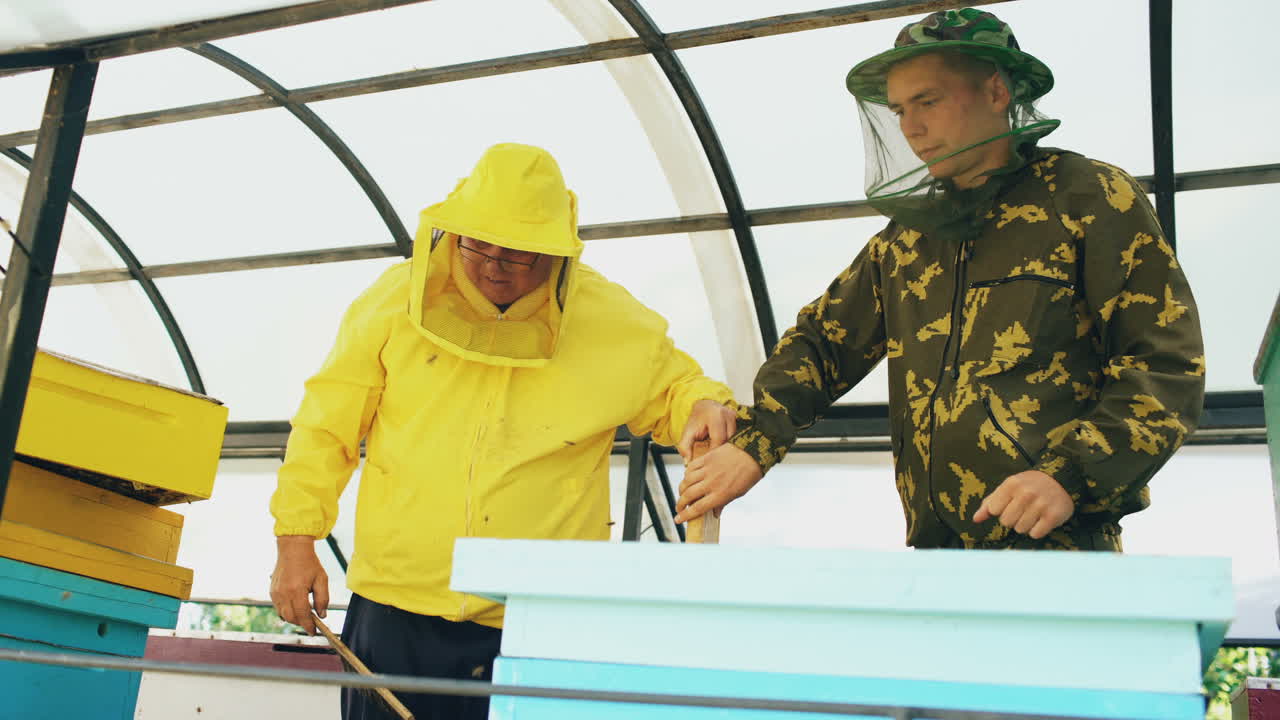 Beekeepers working with beehives