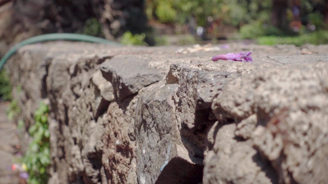 Muro di pietra in giardino con fiore, ambiente pacifico e naturale.