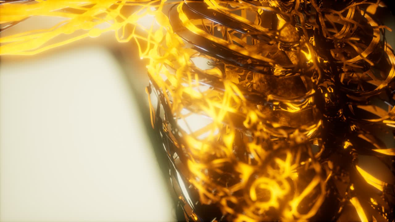 순환계의 혈관에 있는 혈액의 검사