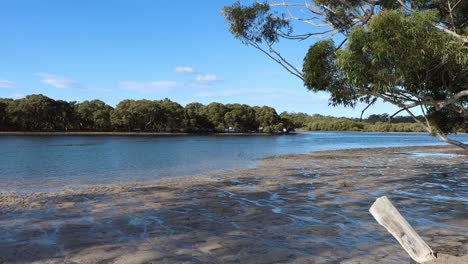 Moona-Moona-Creek-En-Huskisson-Australia-Visto-Desde-La-Costa-Norte,-Tiro-Inclinado-Hacia-Arriba