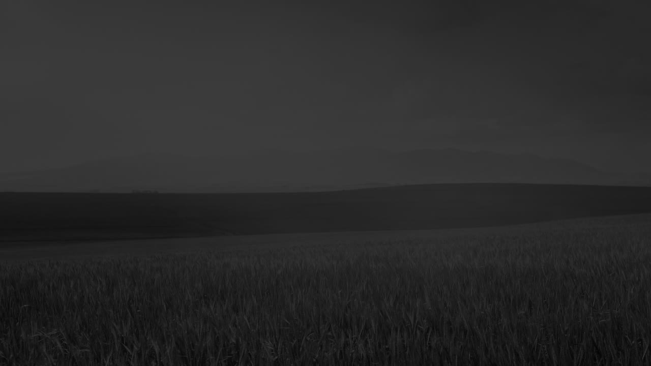 animación de datos financieros y gráficos en pantallas digitales y turbinas eólicas