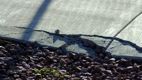 broken floor in a neighborhood court