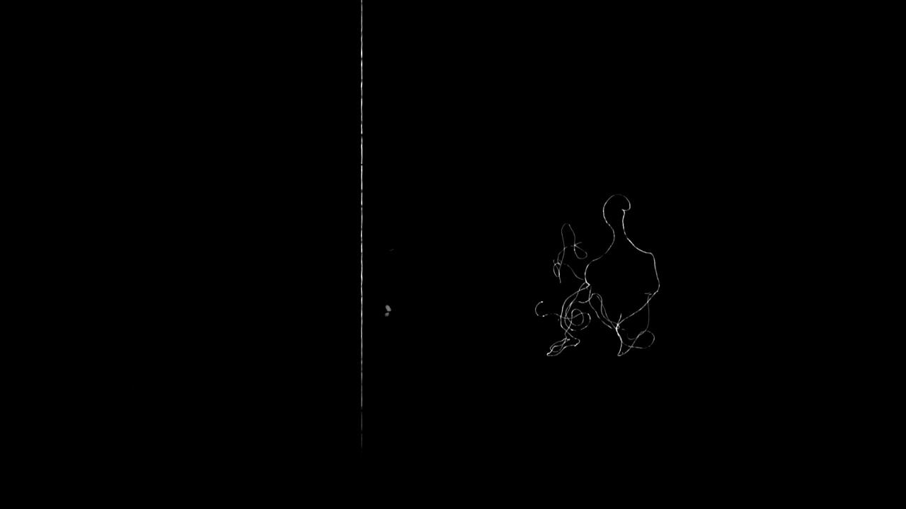 Abstract White Lines Glitch Animation on Black Background