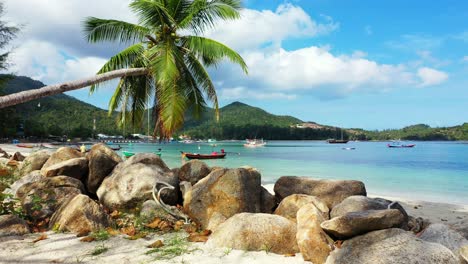 Wunderschöne-Kalksteinfelsen,-Die-An-Den-Weißen-Sandstrand-Eines-Exotischen-Strandes-Mit-Palmen-Grenzen,-Die-Sich-über-Die-Ruhige-Türkisfarbene-Lagune-In-Thailand-Beugen