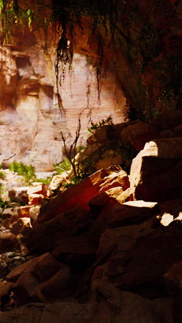 a cave in a red rock canyon