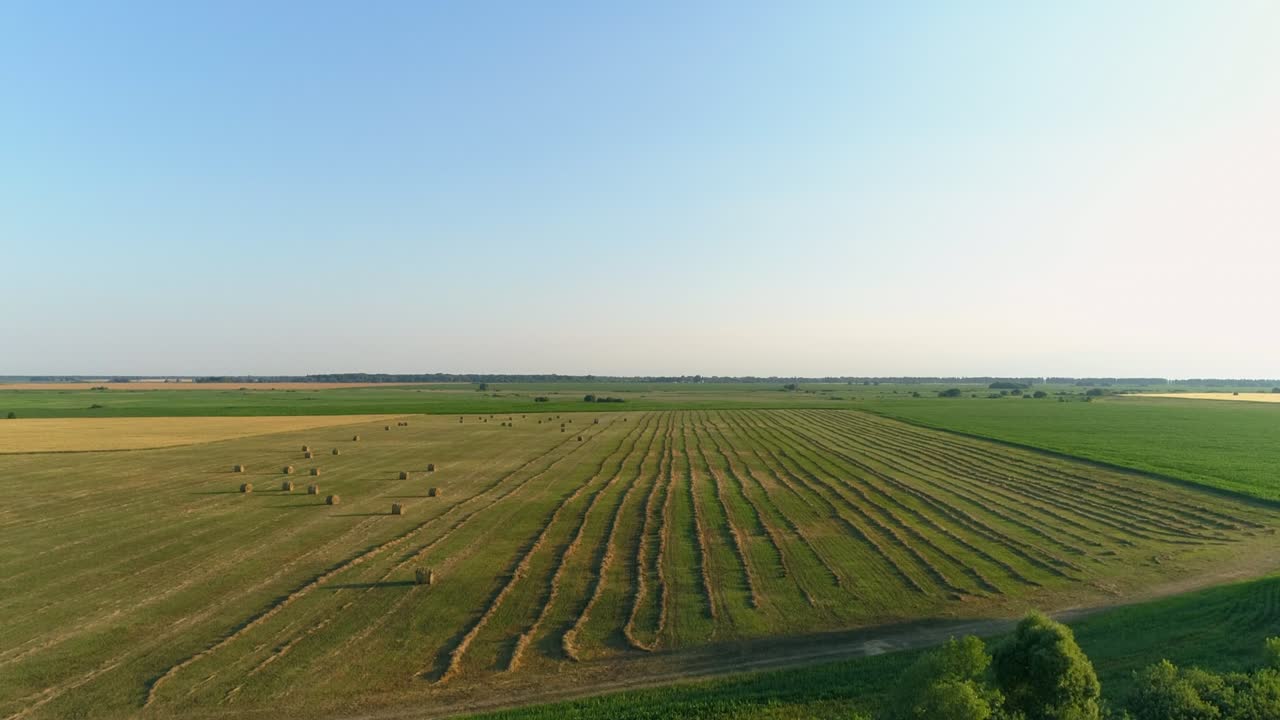 Aerial view hay bales at agricultural field in summer at sunset, haystack