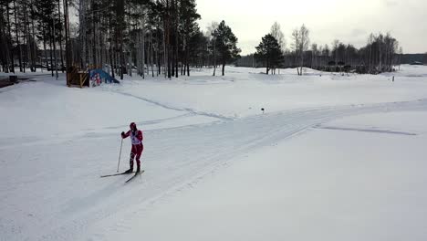 cross-country skier on a snowy trail in winter forest